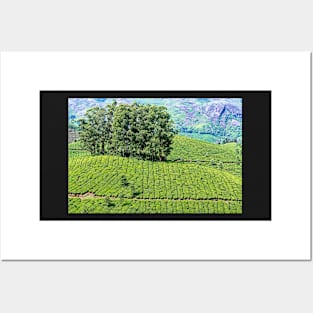 Munnar Tea Plantation. Posters and Art